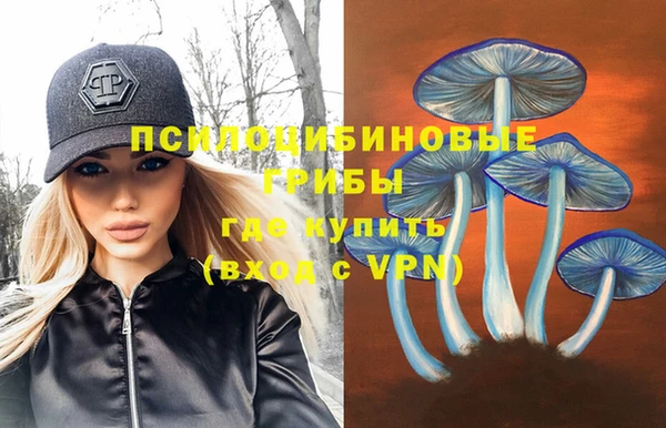 альфа пвп Алексеевка