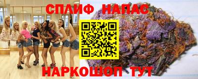 гашик Бузулук