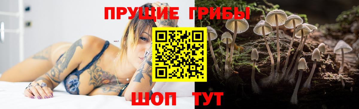Галлюциногенные грибы Magic Shrooms  Вход с VPN  Ярцево 